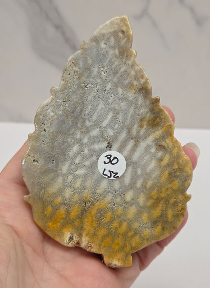 A hand holding a flat, irregular stone or mineral specimen with a mottled gray, beige, and yellow-brown pattern. A small white sticker with black numbers is attached near the center.