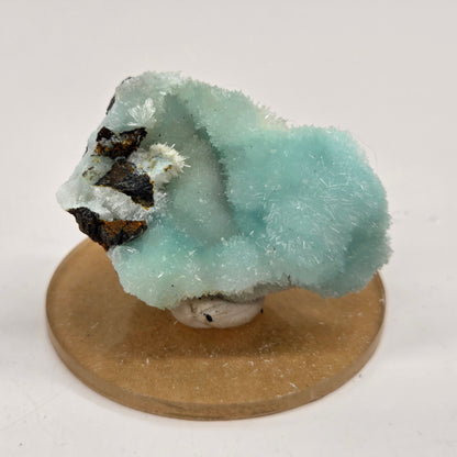 A light blue-green crystal cluster mounted on a round tan display base, photographed against a plain off-white background.