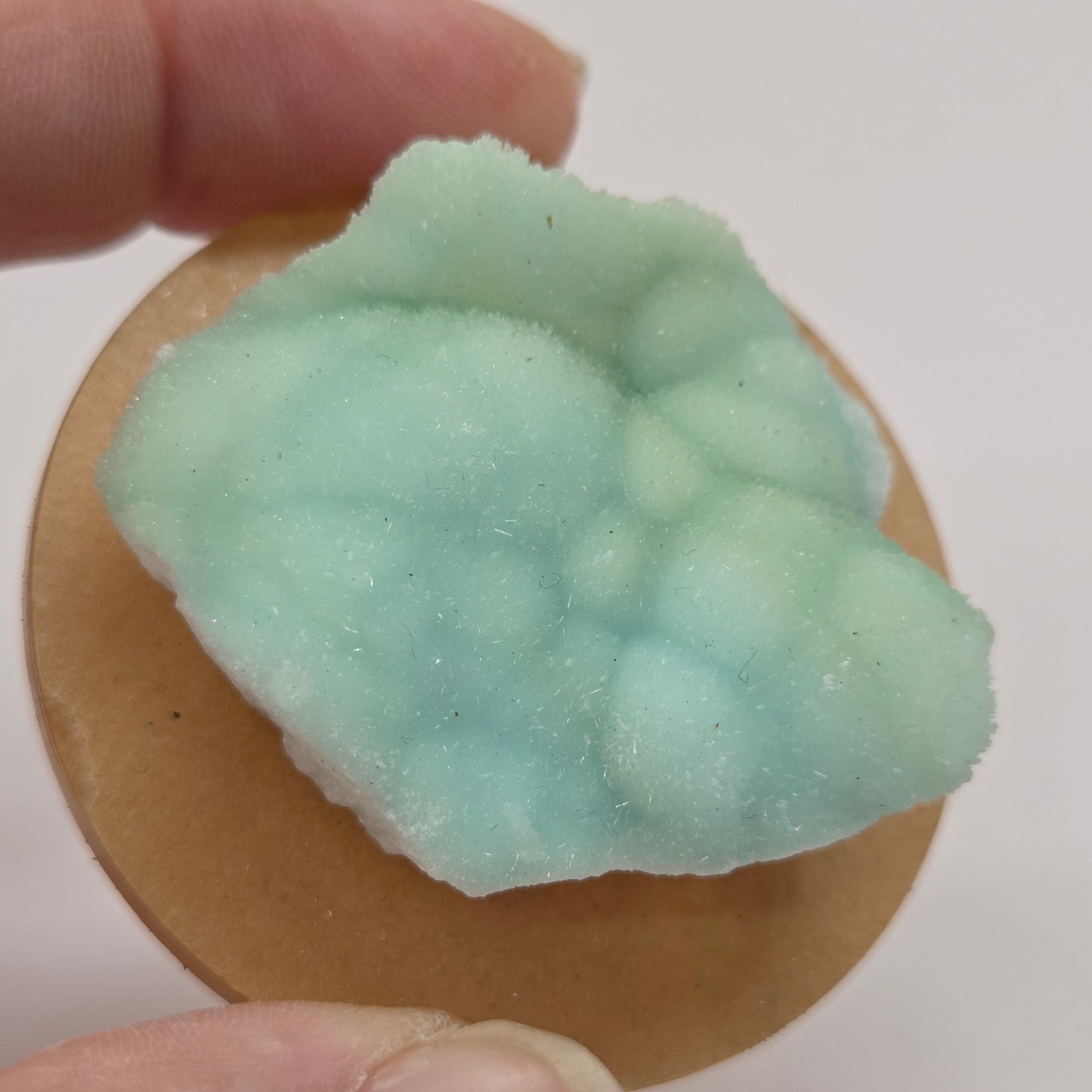 A close-up of a hand holding a round tan cardboard or wood disc with a pale mint-green textured, bubbled surface on top against a plain light background.