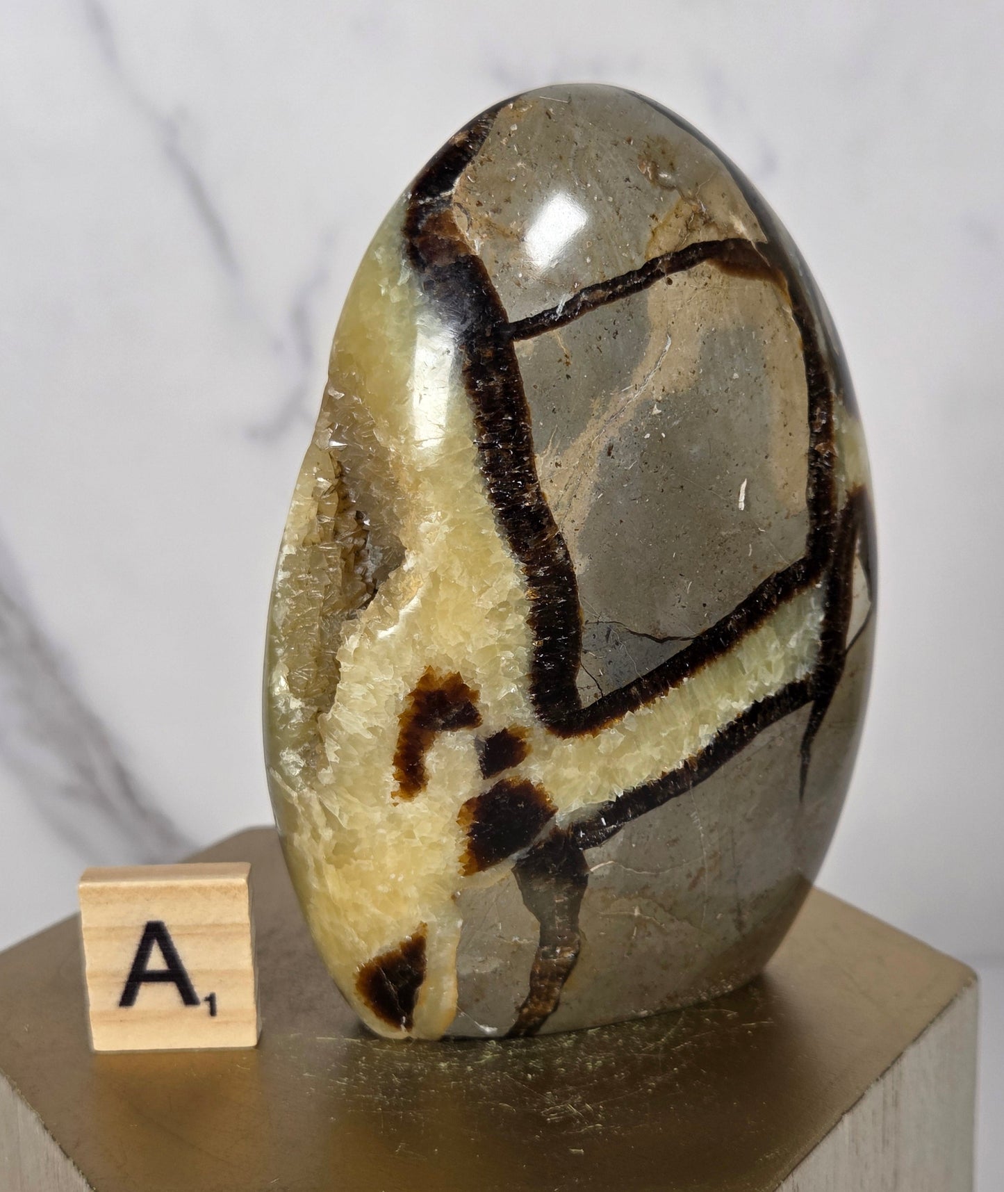 A polished oval stone specimen with a translucent smoky gray body and dark brown veining, mounted on a light wood display block with a small letter tile marked 'A' in front, against a white marble background.