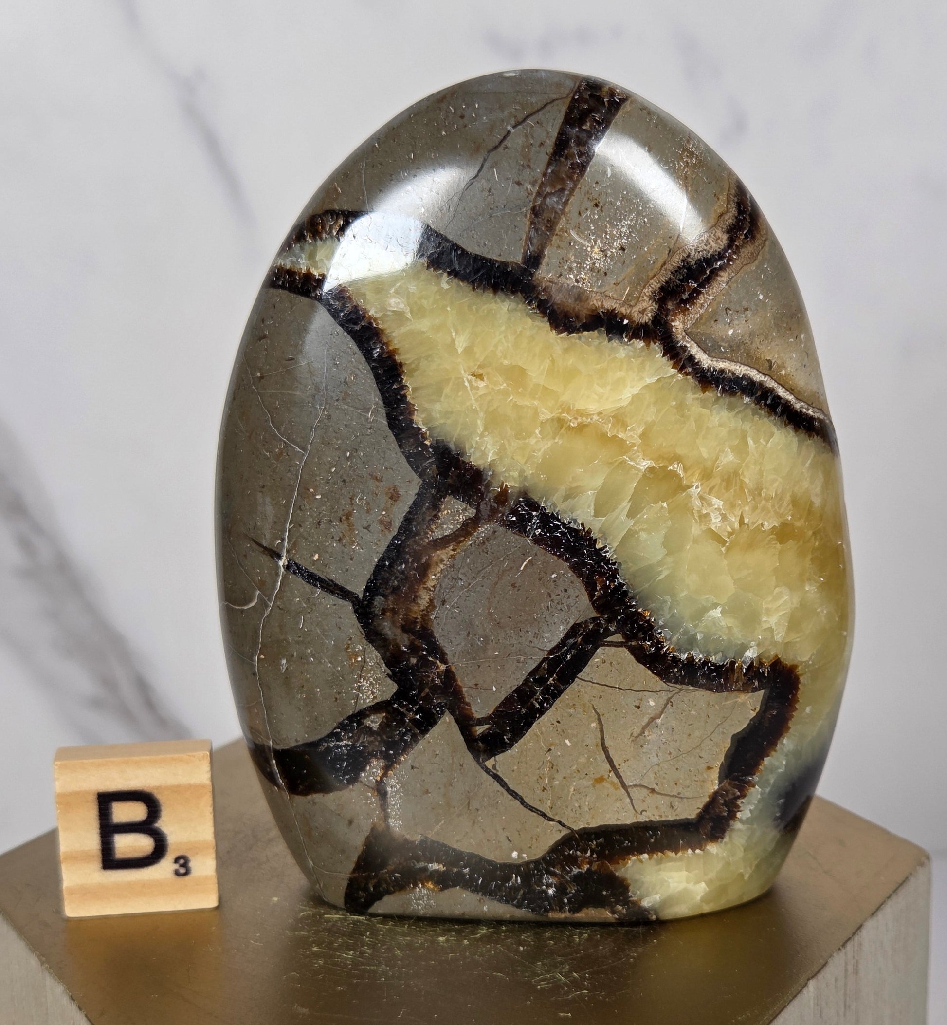 A polished oval stone sculpture with a natural geode-like pattern of dark brown veins and a pale yellow band, displayed on a wooden pedestal next to a small Scrabble tile.