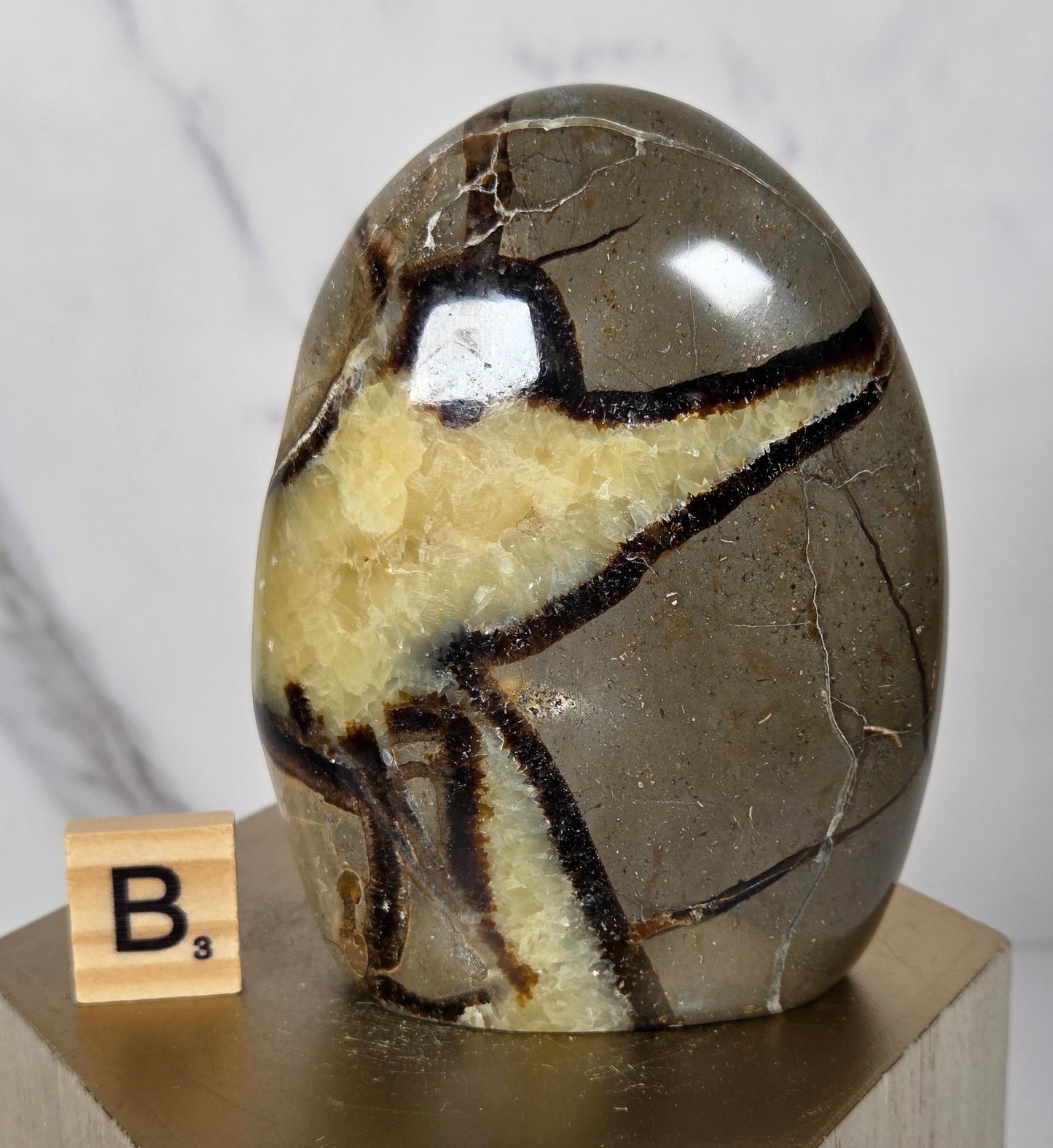 A polished brown and cream agate stone specimen mounted on a light wood block, with a small wooden label showing the letter B, photographed against a light marble-like background.