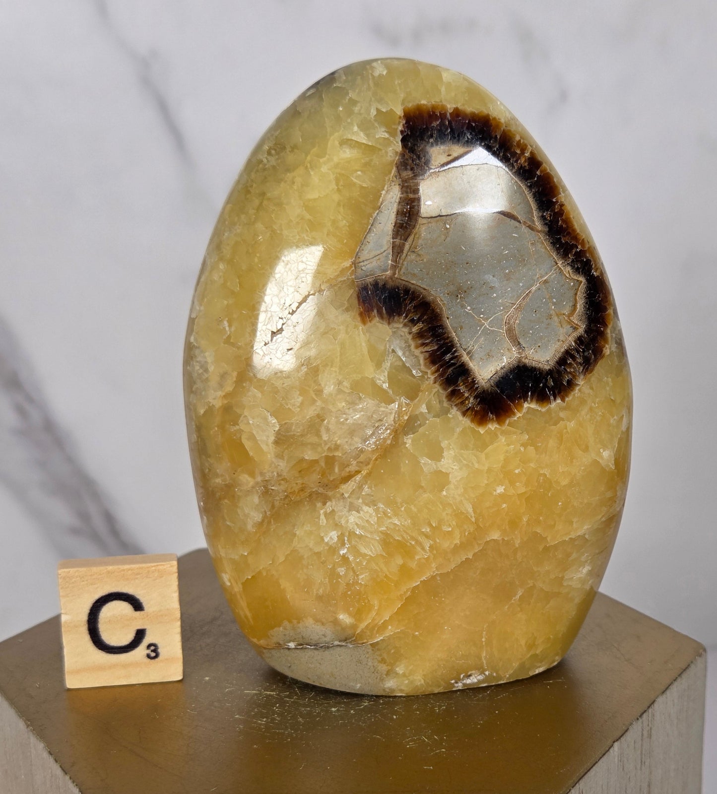 A polished natural crystal or mineral specimen with a warm yellow-beige body, a dark brown ring, and a clear central area, displayed on a light wood block against a white marble-like background.