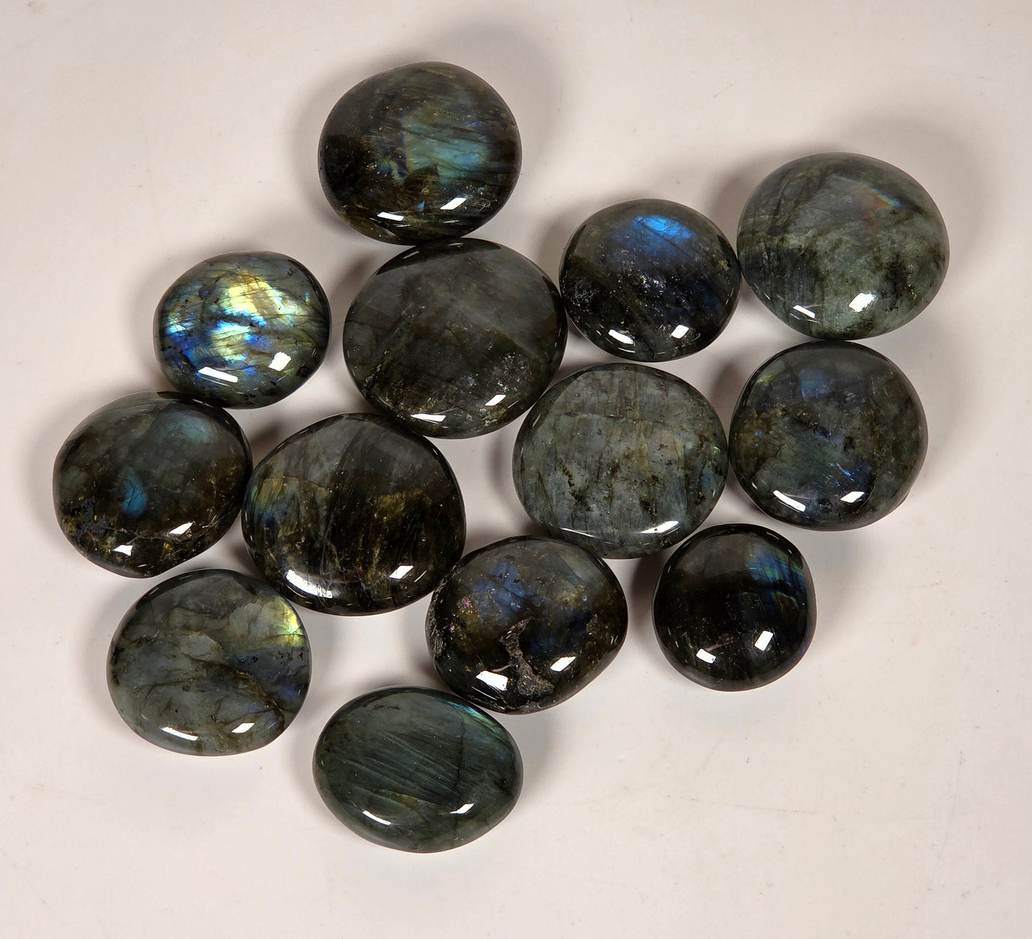 A group of polished oval labradorite gemstones with a dark gray base and shimmering blue-green iridescence, arranged on a plain off-white background.