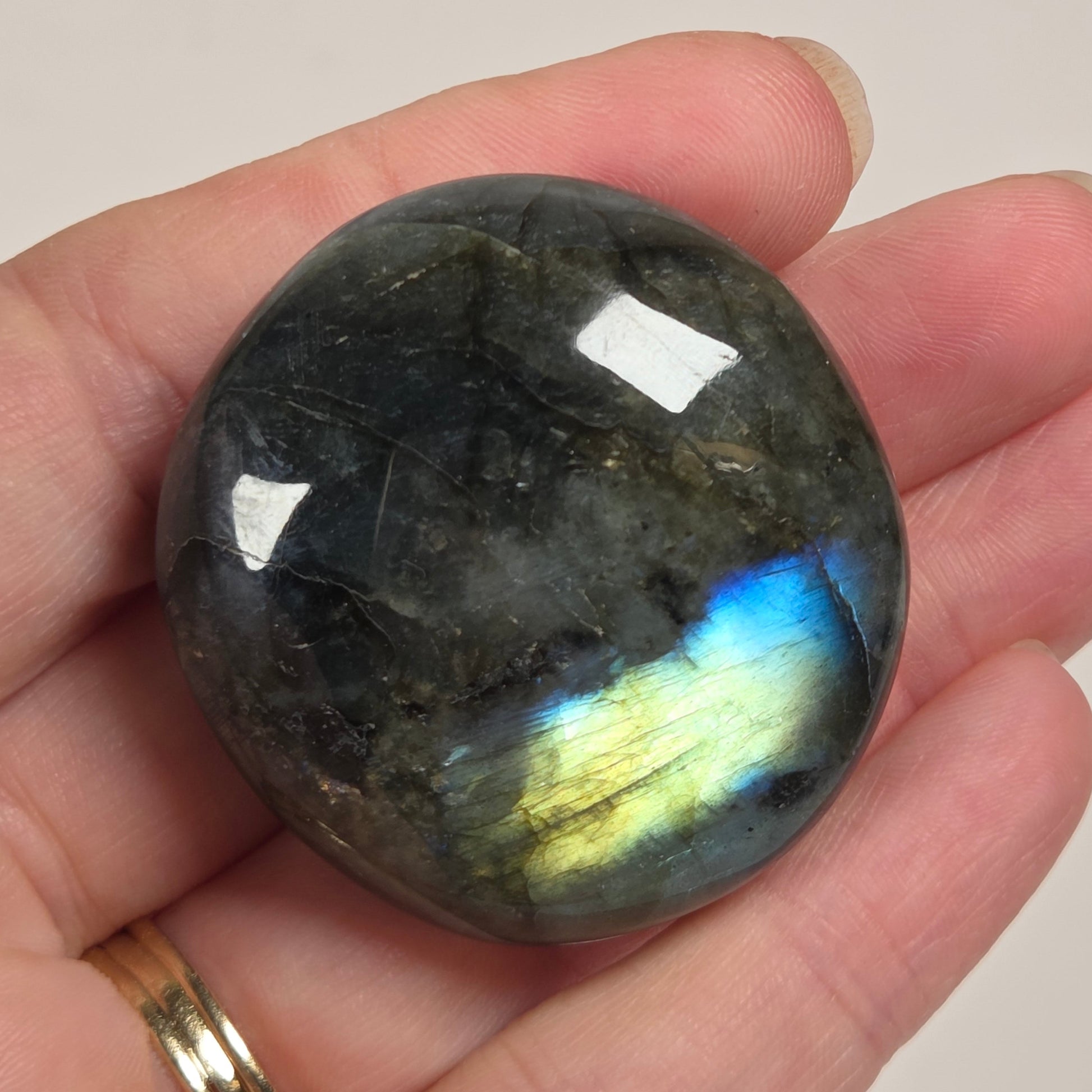 A polished black labradorite gemstone with a vibrant blue and green flash, held in a person's hand against a plain light beige background.