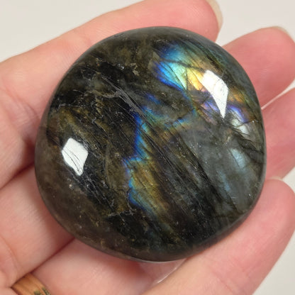A polished labradorite gemstone with iridescent blue, green, and gold flashes, held in a person's hand against a plain light background.