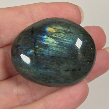 A polished oval labradorite stone held in a person's hand, showing a dark gray base with shimmering blue, green, and gold iridescence.