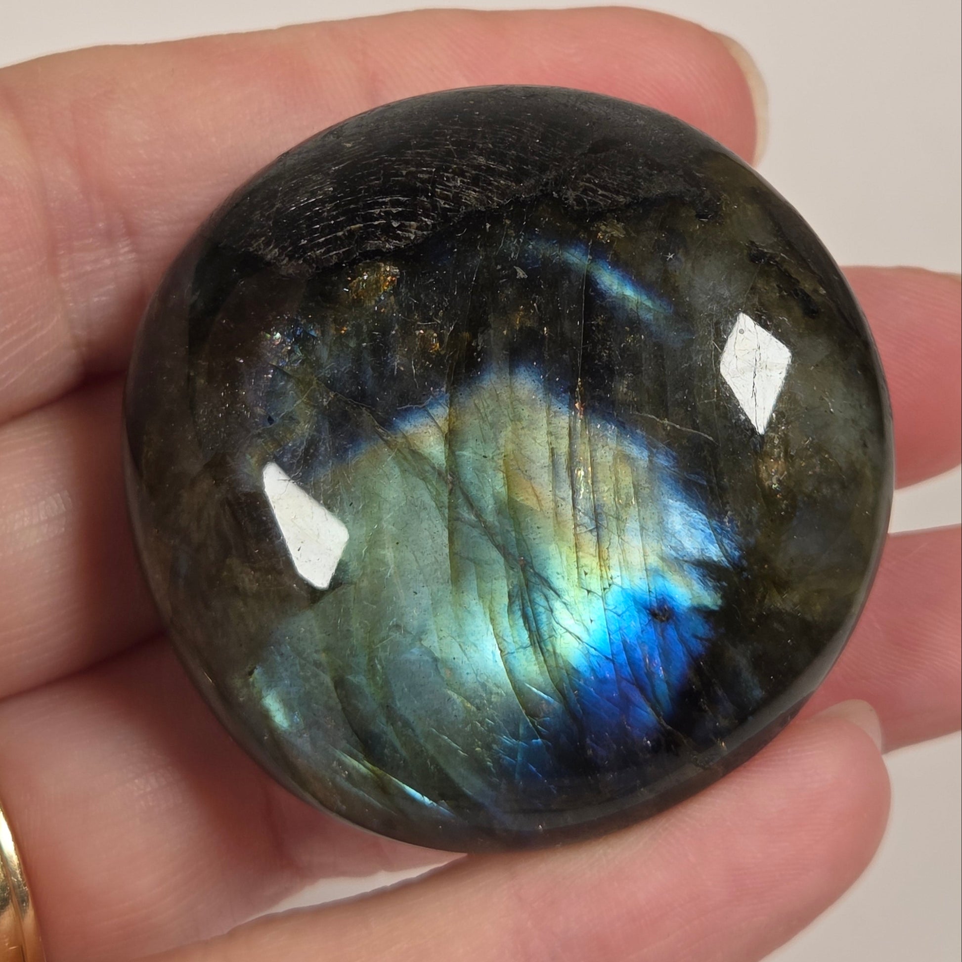 A polished round labradorite stone held in a person's hand, showing a dark gray base with vivid blue, green, and gold iridescent flashes on a plain light background.