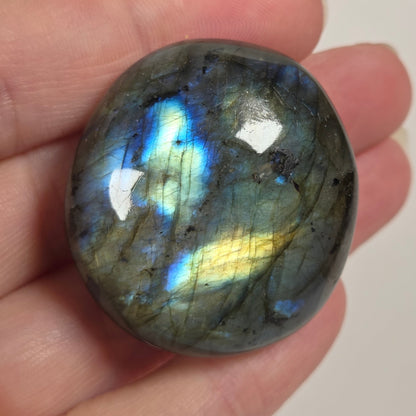 A polished labradorite stone held in a person's hand, showing a shimmering iridescent surface with blue, green, and gold flashes against a plain light background.