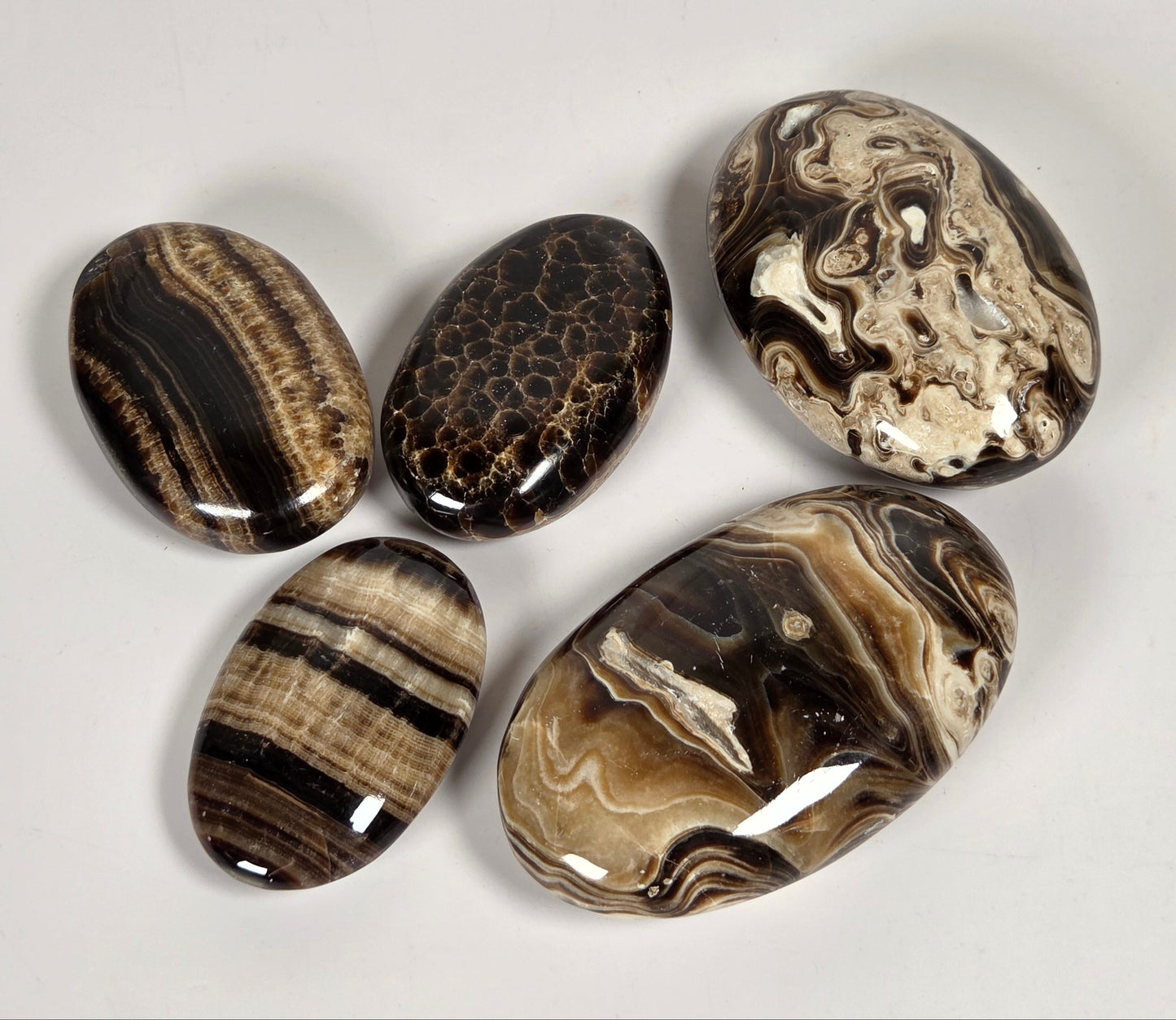 Five polished stone cabochons with natural marbled and banded patterns in black, brown, beige, and cream, arranged on a light gray background.