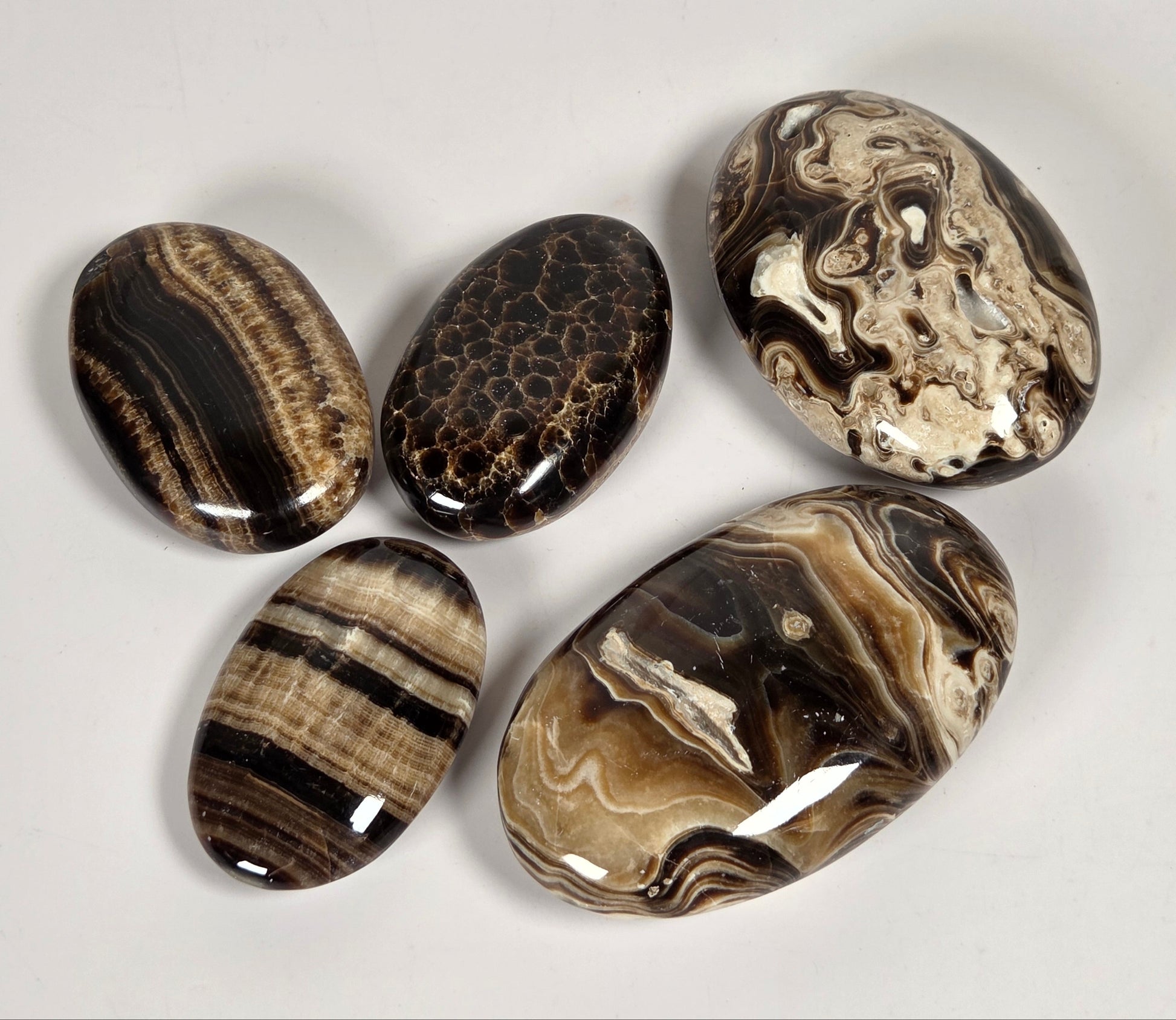 Five polished stone cabochons with natural marbled and banded patterns in black, brown, beige, and cream, arranged on a light gray background.