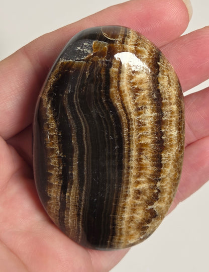 A polished oval stone with dark brown, black, and tan banded stripes, held in a person's hand against a plain light background.