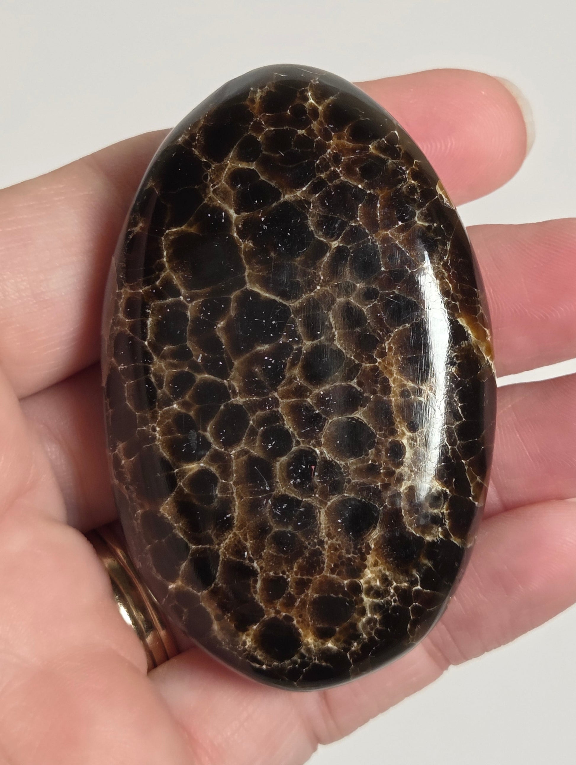 A hand holding a polished oval stone with a dark brown and black honeycomb or cellular pattern, shown against a plain light background.