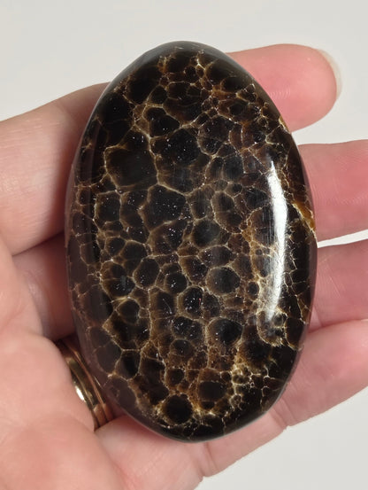 A hand holding a polished oval stone with a dark brown and black honeycomb or cellular pattern, shown against a plain light background.