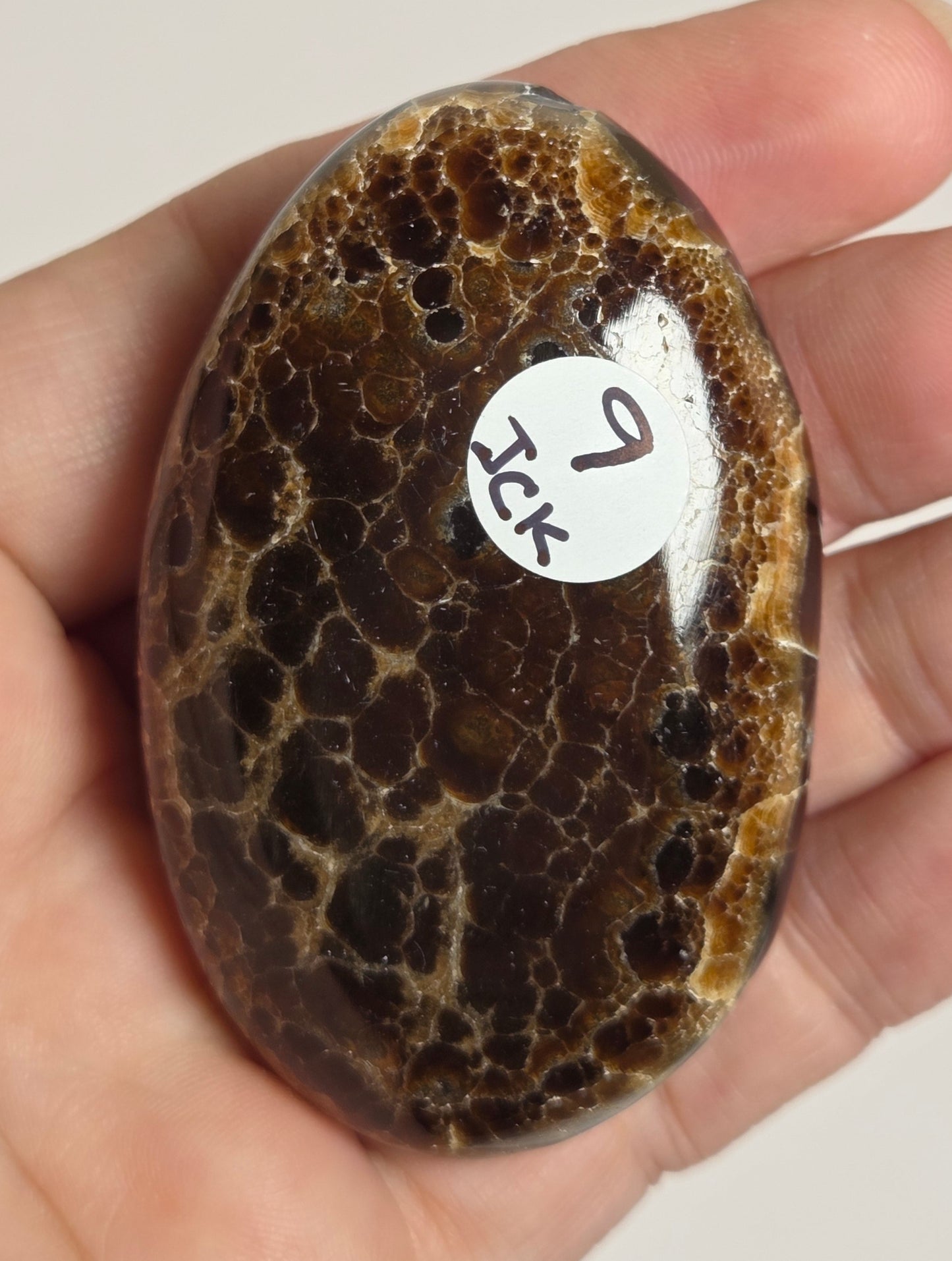 A hand holding a polished, oval-shaped brown stone with a mottled dark and light pattern, featuring a small white sticker with handwritten text.