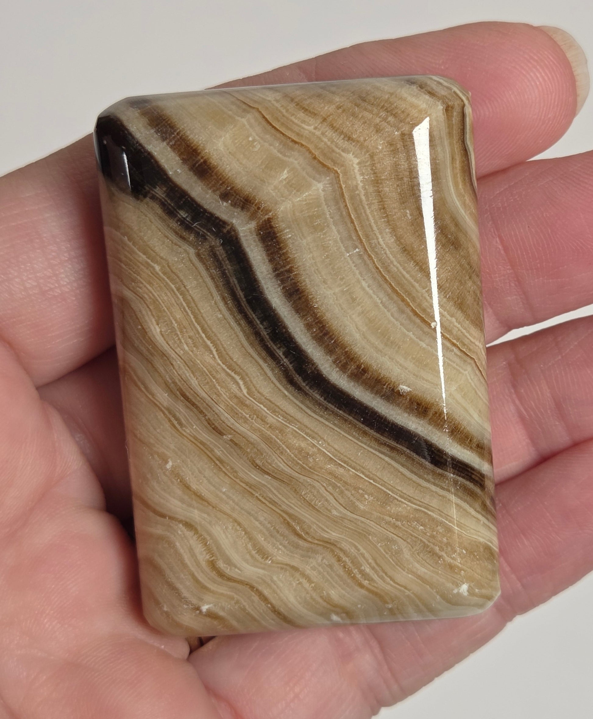 A polished rectangular stone slab with wavy beige, tan, and dark brown banding, held in a person's hand against a plain light background.