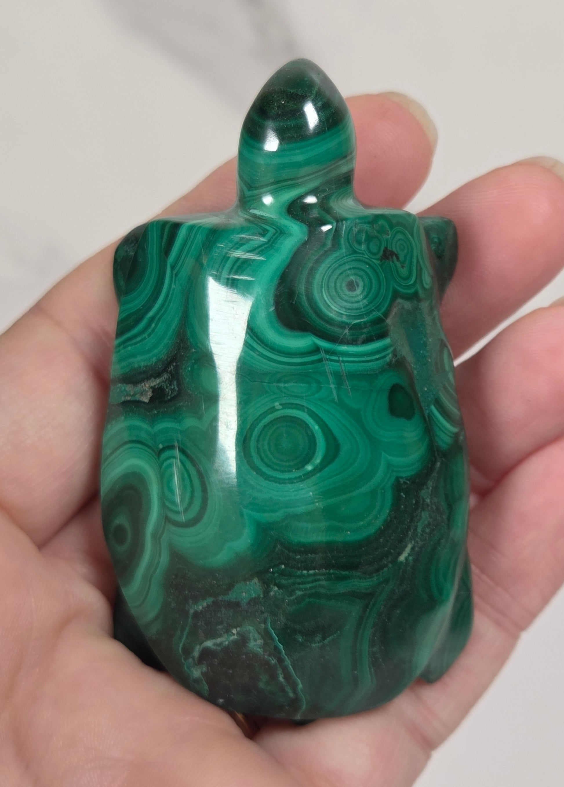 Hand holding a Green malachite crystal carved into the shape of a turtle against a white background
