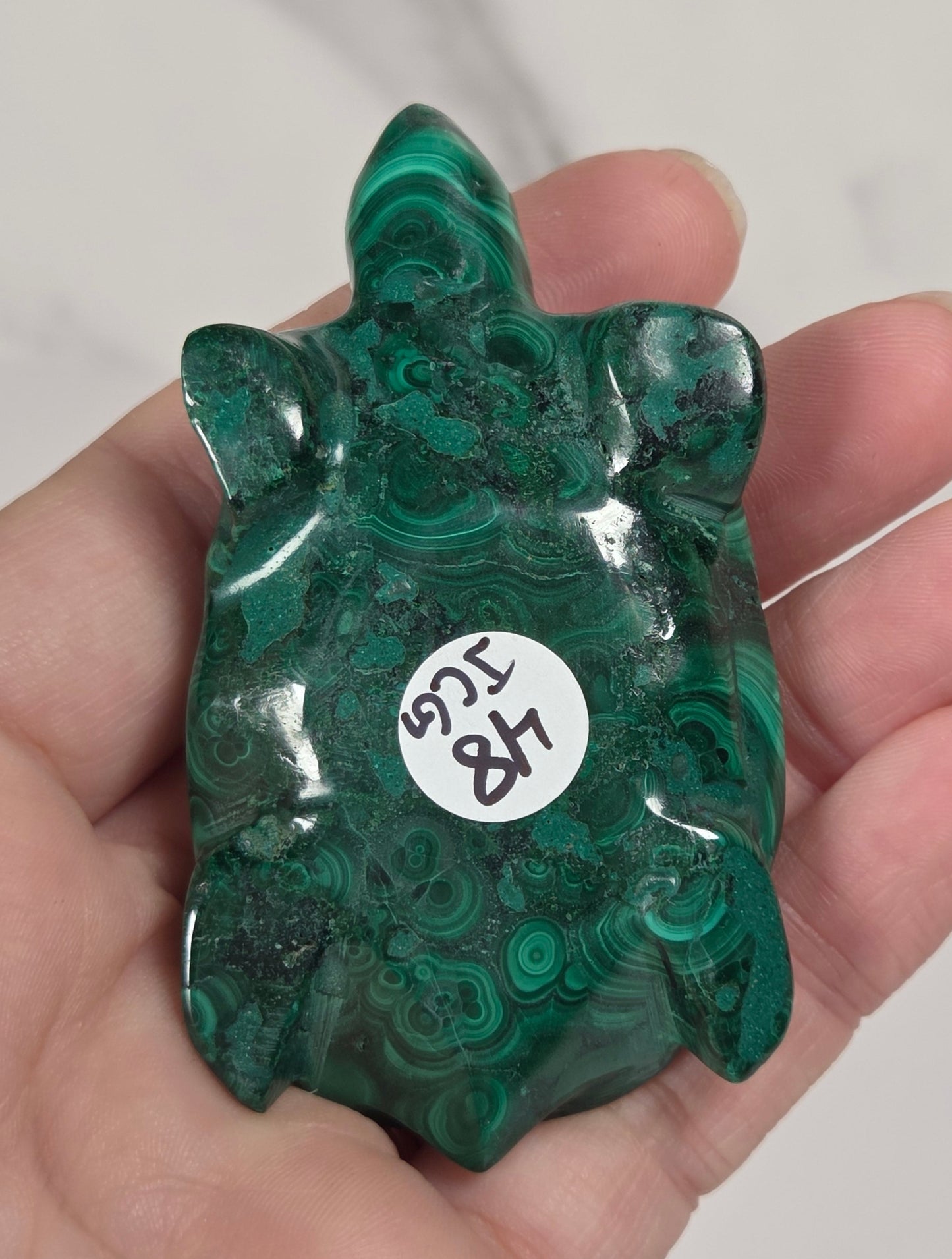 Hand holding a Green malachite crystal carved into the shape of a turtle against a white background