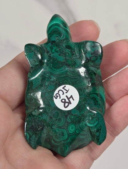 Hand holding a Green malachite crystal carved into the shape of a turtle against a white background