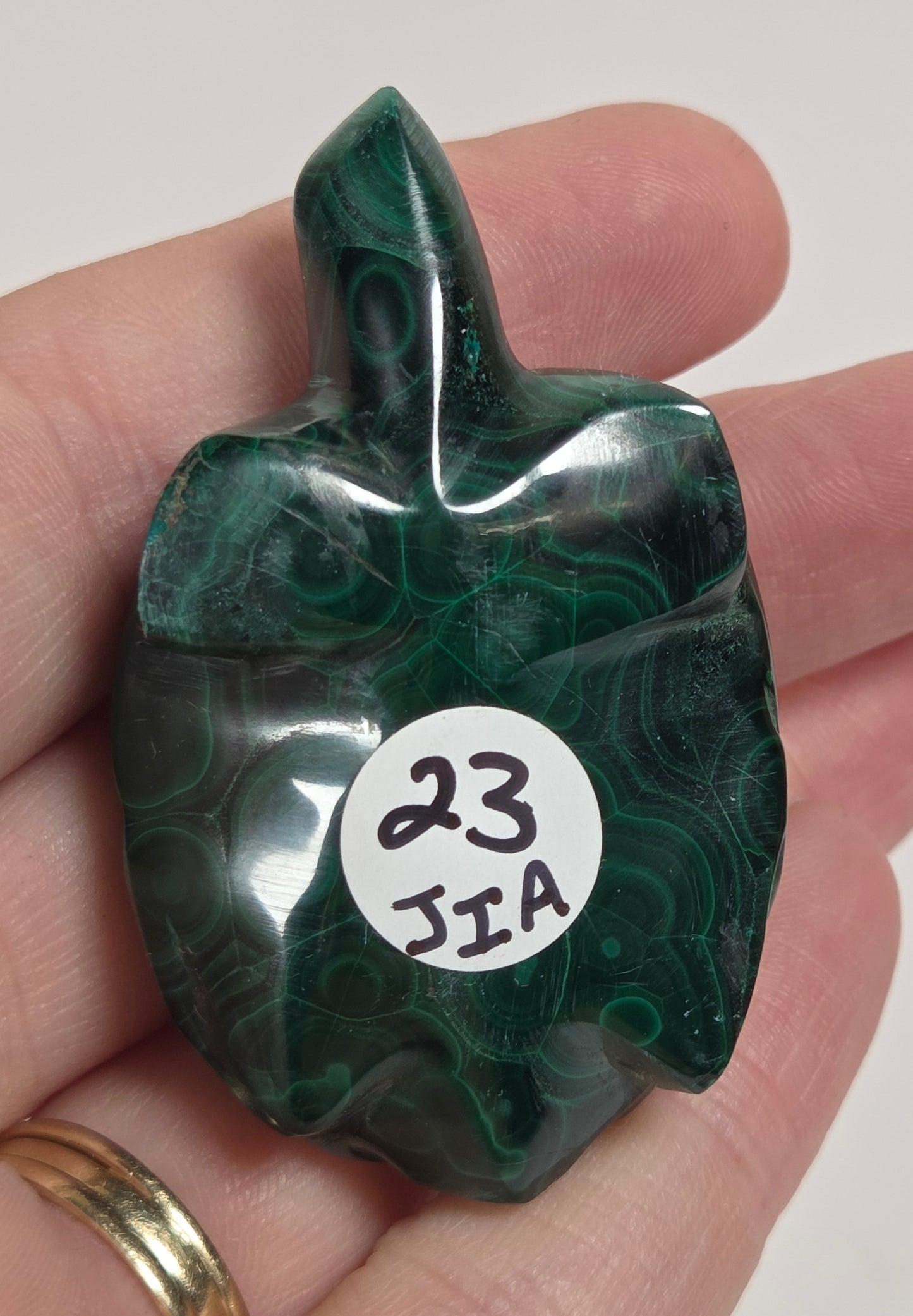 Hand holding a Green malachite crystal carved into the shape of a turtle against a white background