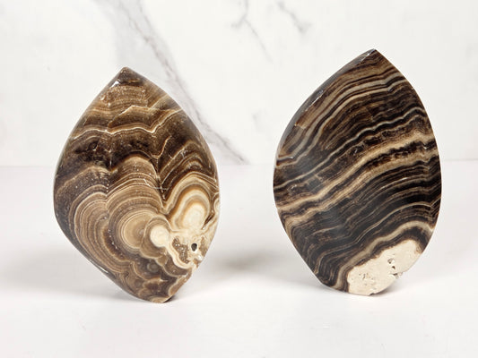 Two banded chocolate calcite flames with brown and tan coloring on a white background