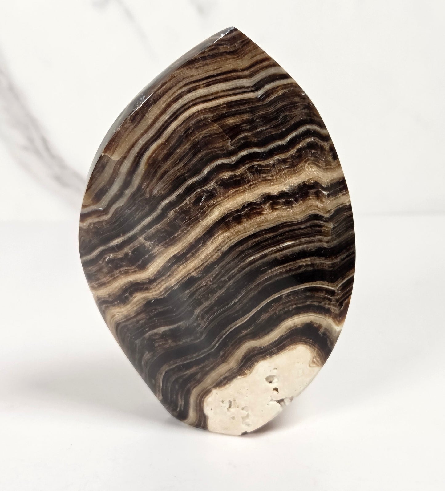 Banded chocolate calcite flame with brown and tan coloring on a white background