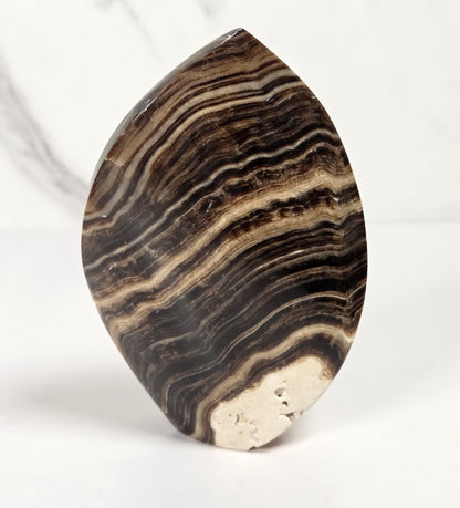 Banded chocolate calcite flame with brown and tan coloring on a white background