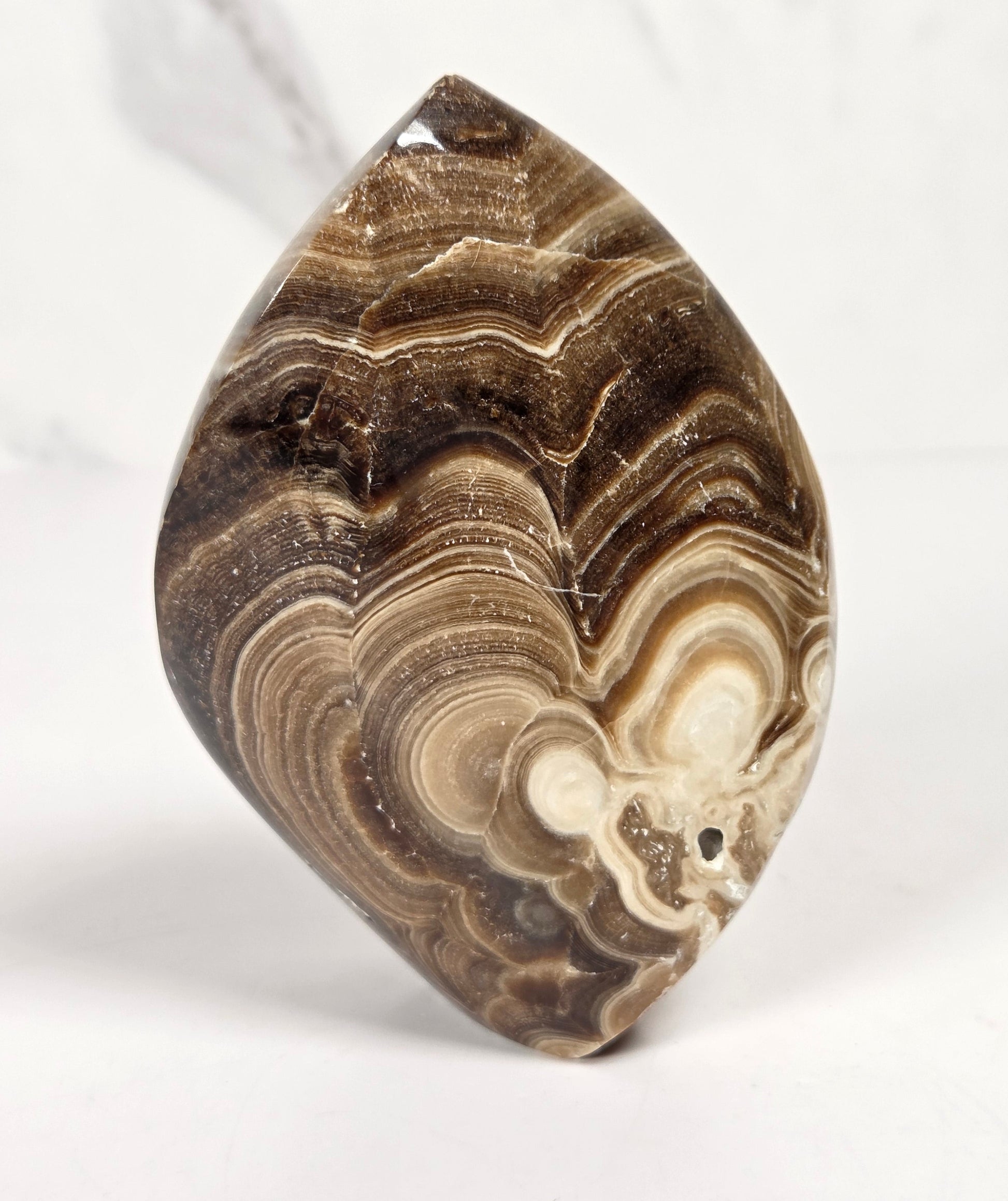 Banded chocolate calcite flame with brown and tan coloring on a white background