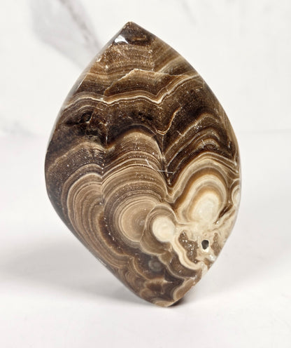 Banded chocolate calcite flame with brown and tan coloring on a white background