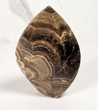 Banded chocolate calcite flame with brown and tan coloring on a white background