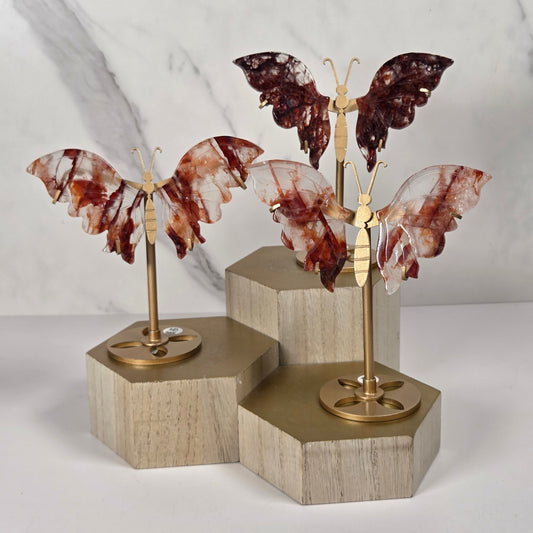 Set of 3 fire quartz carved butterfly wings on golden stainds on a wooden stand againsta a marbled background