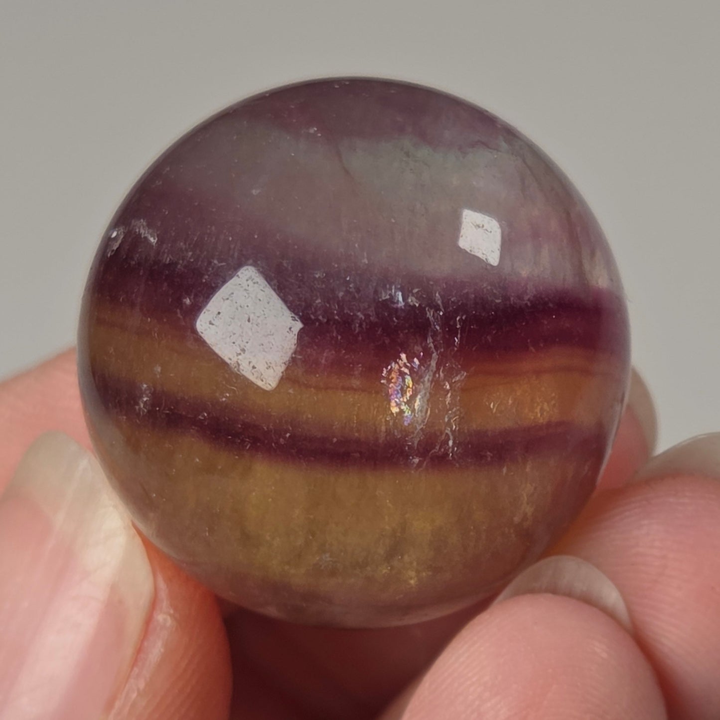 A hand holding a polished round gemstone with vertical bands of purple, brown, and golden yellow, photographed close-up against a light gray background.