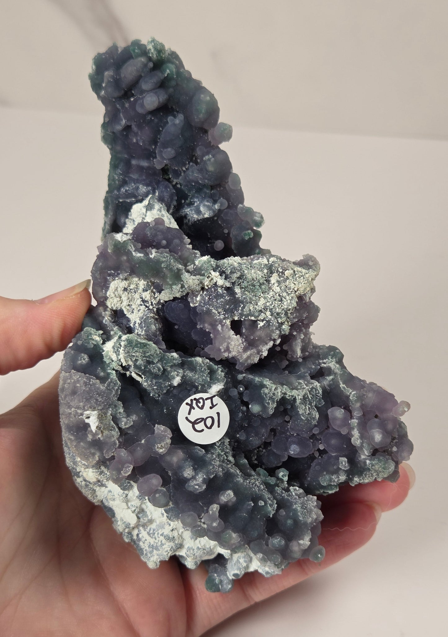 A hand holding a natural amethyst crystal cluster with a small white inventory tag attached, set against a plain light background.