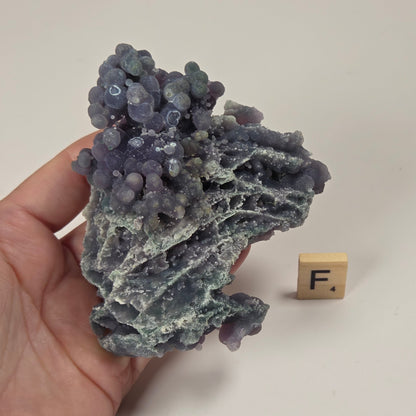 A hand holds a purple and blue geode specimen with a textured, clustered mineral surface next to a small wooden letter block with the letter 'F.' on a white surface.
