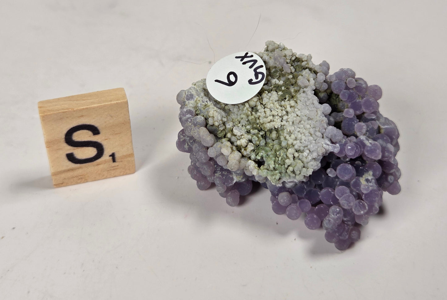 A small cluster of dried purple grapes with pale greenish-gray foliage, photographed on a light neutral surface next to a wooden Scrabble tile showing the letter S and a small round tag marked 6-15.