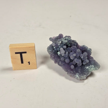 A small purple and blue crystalline mineral specimen shown next to a wooden Scrabble tile with the letter T on a plain off-white background.