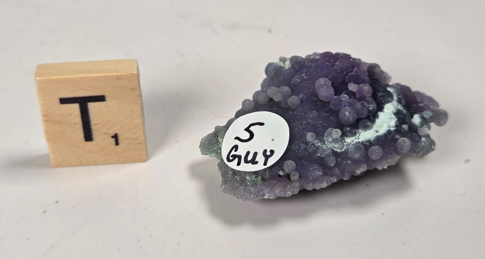 A small purple and lavender crystalline mineral specimen with a white handwritten label reading '5 guy' sits on a light surface next to a wooden Scrabble tile showing the letter T.