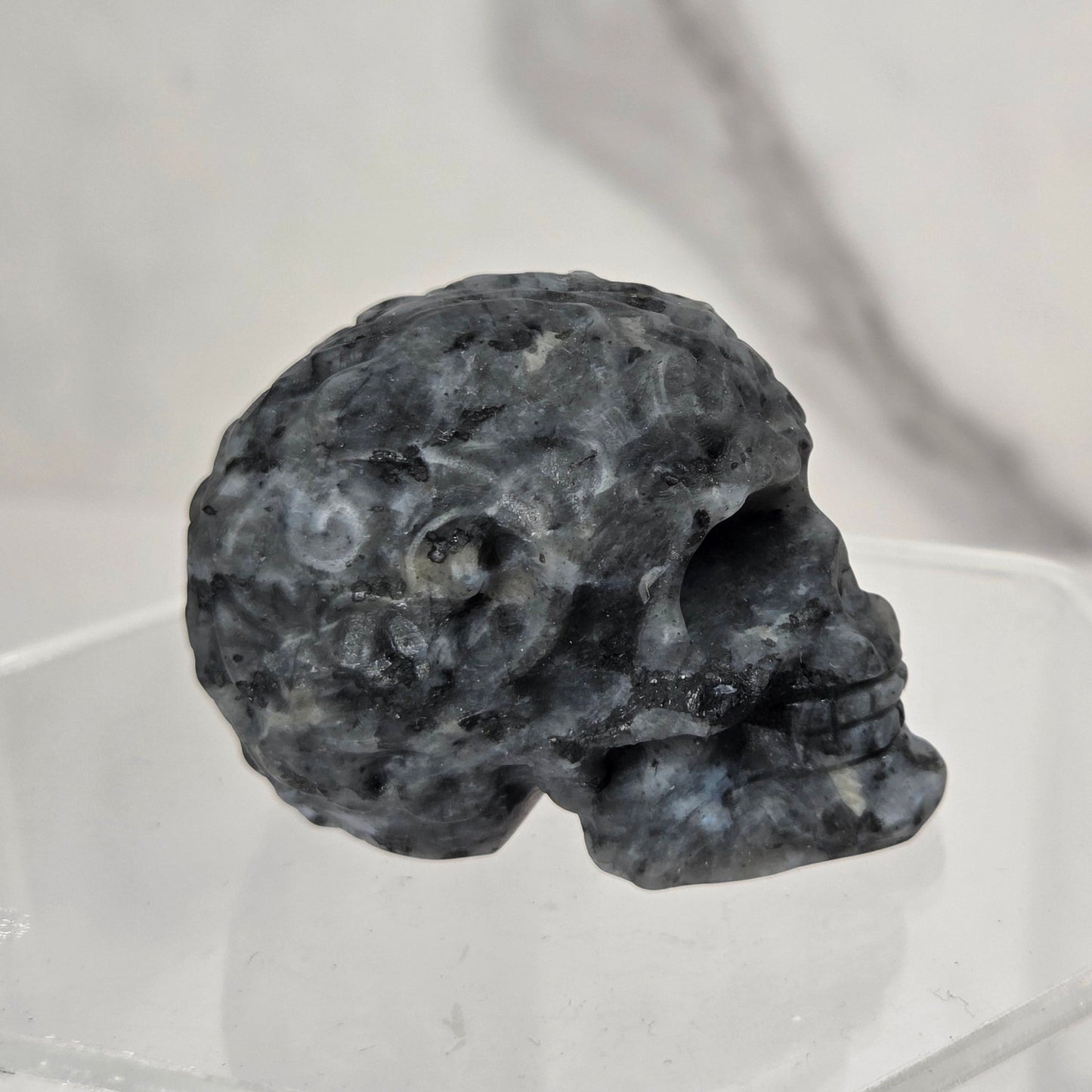 A small dark gray skull-shaped object displayed on a clear acrylic stand against a light marble-patterned background.