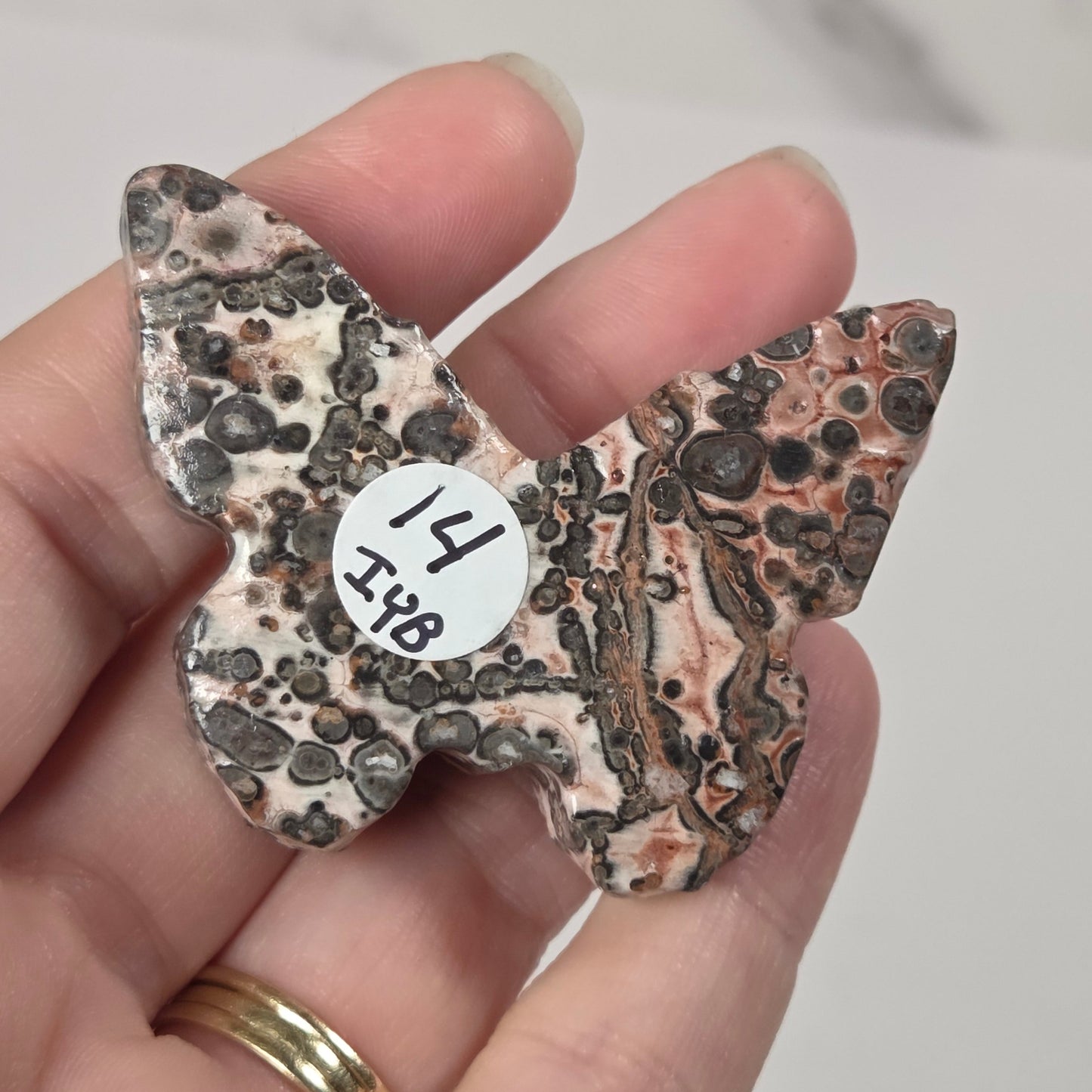 A butterfly-shaped stone brooch with a mottled pattern of black, brown, and beige, held in a person's hand. A small white sticker with the handwritten numbers '14 J48' is attached to the center of the brooch.