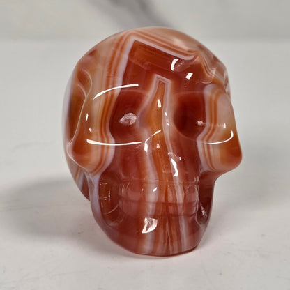 A polished carved skull made from red and white banded agate stone, displayed on a light gray surface.