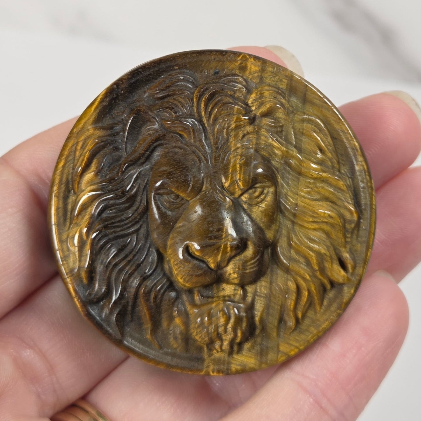 Hand holding a Tigers Eye round carving with lion head designs on a white background
