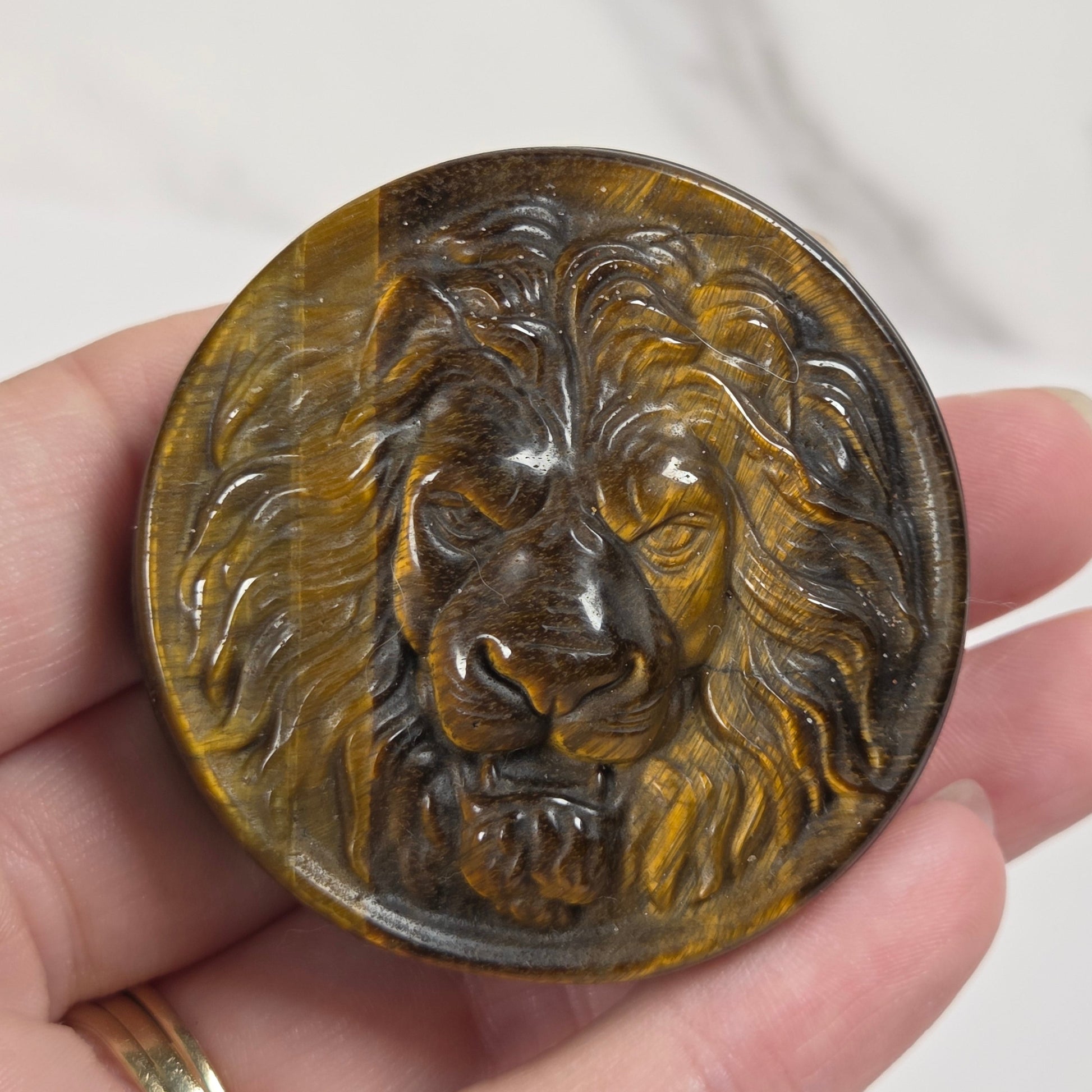 Hand holding a Tigers Eye round carving with lion head designs on a white background