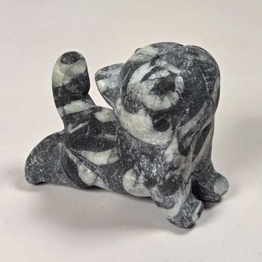 A small carved stone figurine of a cat in a sitting position, made from dark gray and white marbled stone, photographed on a plain light background.
