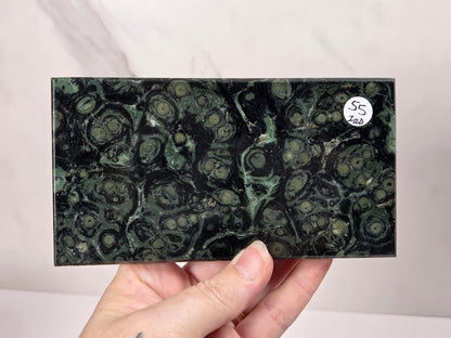 A hand holding a rectangular polished stone slab with a dark green and black banded, tree-ring-like pattern. A small white sticker with handwritten text is visible in the upper right corner of the slab.