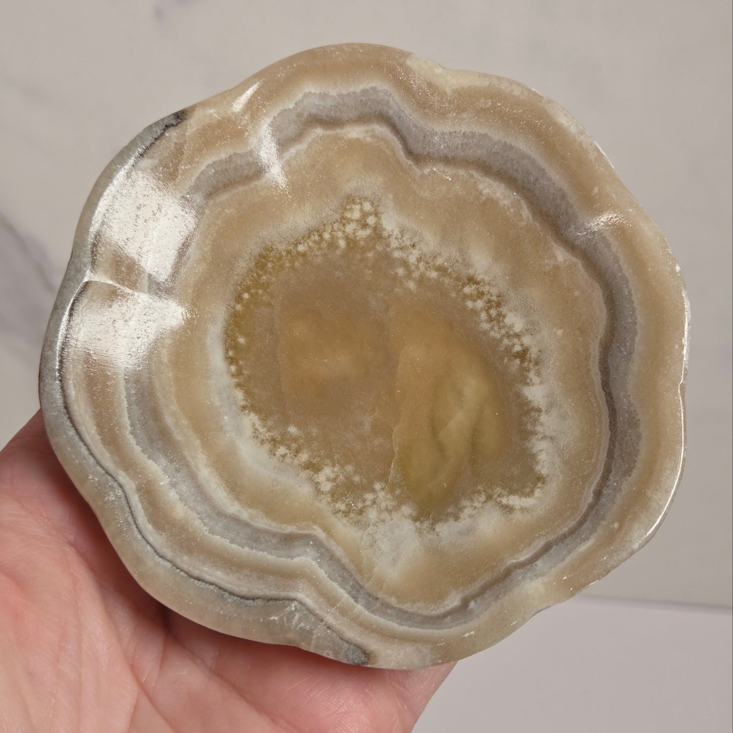 A hand holding a polished slice of agate or onyx stone with concentric bands of cream, tan, gray, and brown, set against a light marble-patterned background.