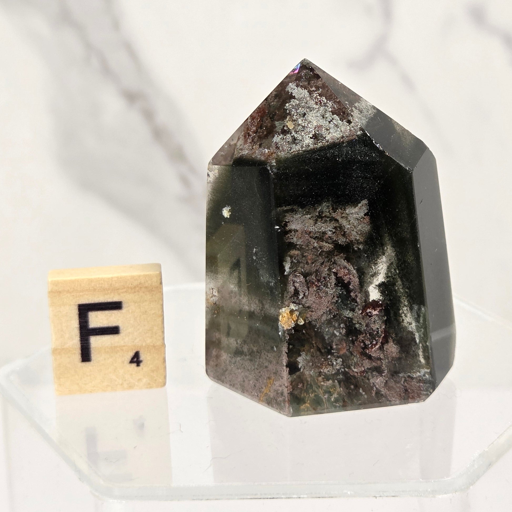 A faceted crystal point with a dark black and brown interior, displayed on a clear acrylic stand next to a wooden Scrabble tile showing the letter F.