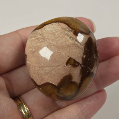 A polished brown and beige stone held in a person's hand against a plain light background.