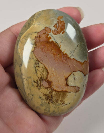 A hand holding a polished oval stone with a map-like brown and tan pattern on a yellowish-green base, photographed against a plain light background.