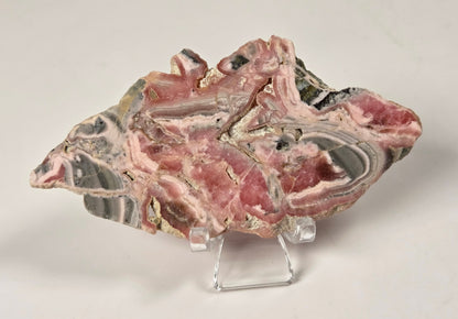A raw mineral specimen with concentric bands of pink, gray, and white, displayed on a clear acrylic stand against a neutral off-white background.