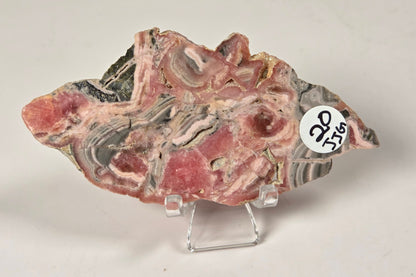 A polished slice of pink and gray banded stone, likely agate or jasper, displayed on a clear acrylic stand against a plain light background. A small white circular sticker with black handwritten text is attached to the right side.